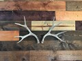 No Drill Shed Antler Mount Hanger Deer- Antlers NOT Included