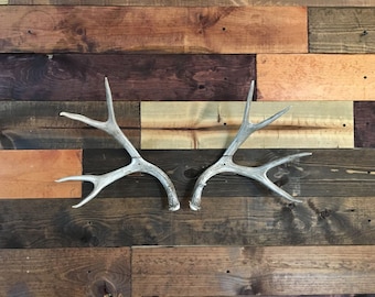 No Drill Shed Antler Mount Hanger Deer- Antlers NOT Included