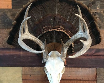 Turkey Fan/Skull Mount Hanger- skull/turkey fan not included