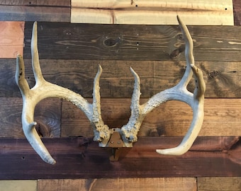 Skull Cap Mount Hanger