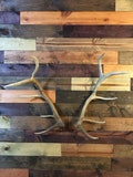 Elk/Moose Shed Antler Mount Hanger- Antlers not included
