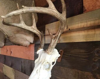 The Eurohanger "primitive" Skull Hanger Mount Bracket Deer Antelope - View #3