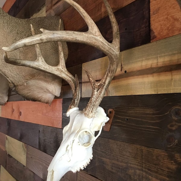 Flush Mount Skull Hanger