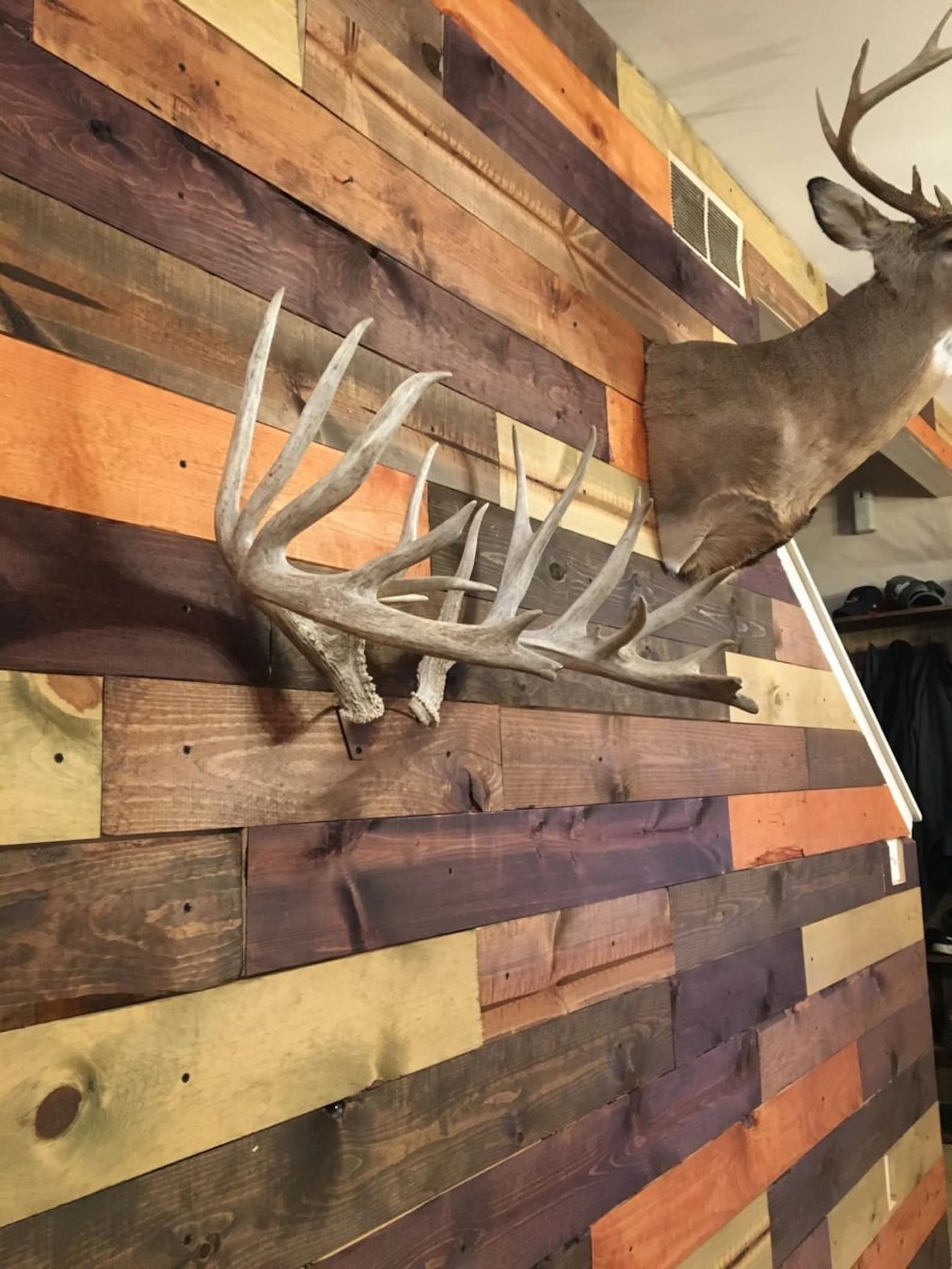 Shed Antler Mount Hanger Etsy
