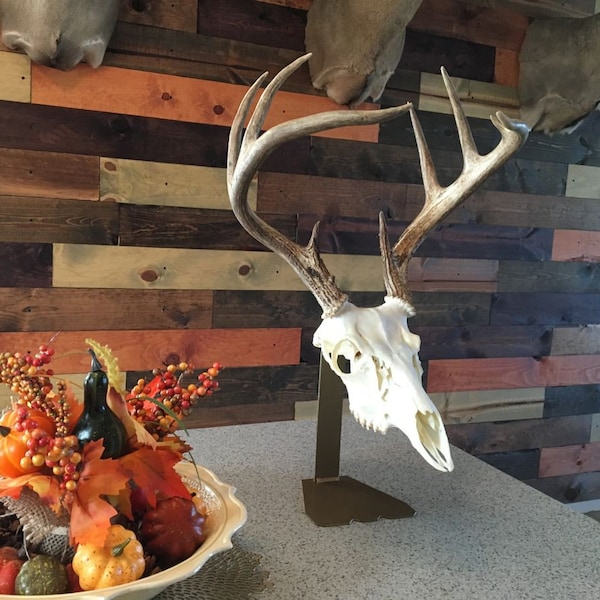 Table Top Mount Skull Hanger