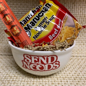 Funny noodle bowl!! Send noods, for the true noodle lovers! Funny gag gift!