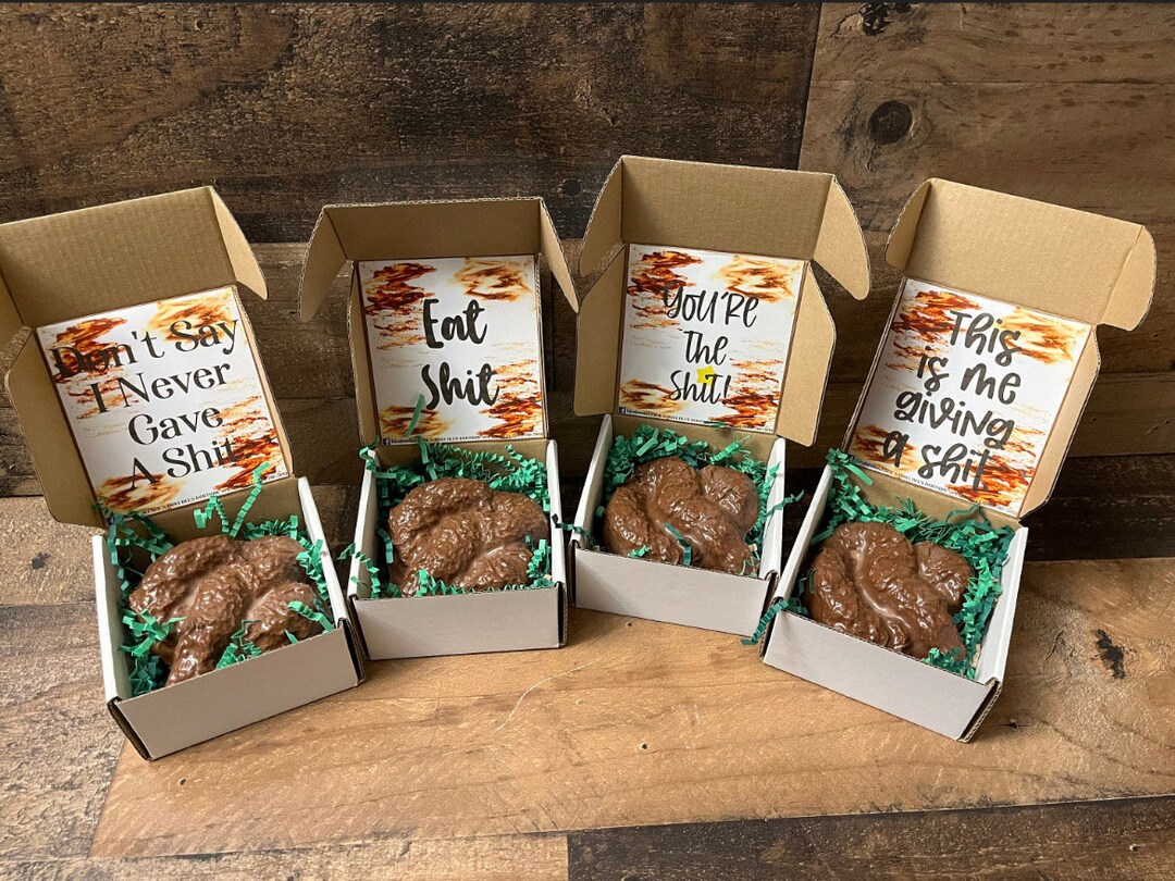 Chocolate Poop! Can Be Sent Anonymously! Hand Made Milk or Dark ...