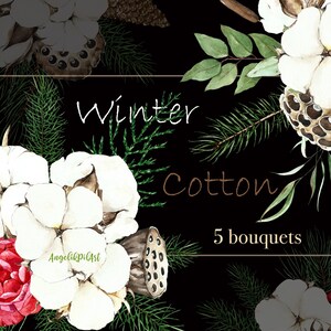 Algodón, Eucalipto, acuarela de pino Clipart, ramos de Navidad. Hojas verdes, flores de algodón. Ilustración de acuarela Digita. invierno