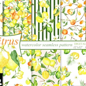 Citrus digital paper, Lemon , Orange, Limes.  Watercolor citrus fruits seamless paper, Digital Paper Pack,  Fresh summer pattern