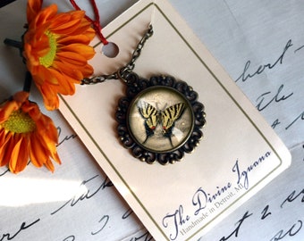 Swallowtail Butterfly Large Pendant Necklace in Ornate Frame