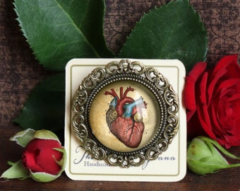 Anatomical Heart Reversed Decoupage Glass and Brass Brooch