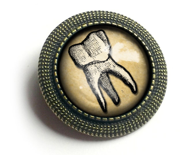 Human Tooth Vintage Inspired Pin Brooch