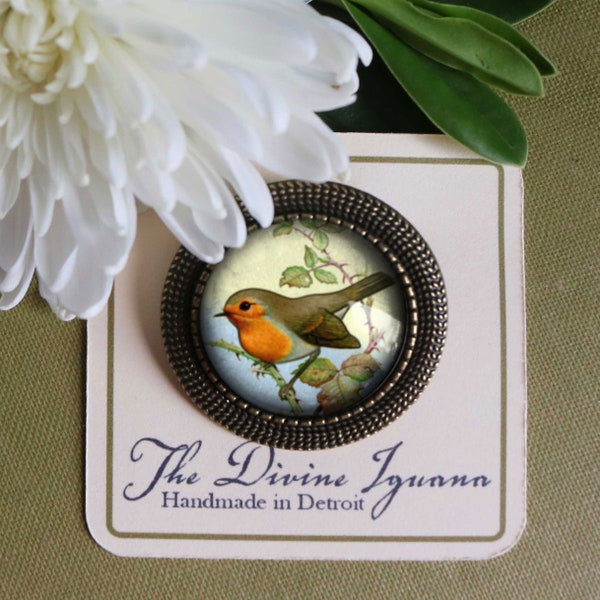 Spring Robin Vintage Geïnspireerd Pin Broche