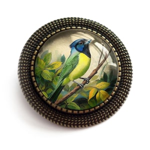 Puede incluir: Una broche redonda de color bronce con una cúpula de vidrio que presenta una ilustración vintage de un pájaro azul, verde y amarillo posado en una rama con hojas verdes.