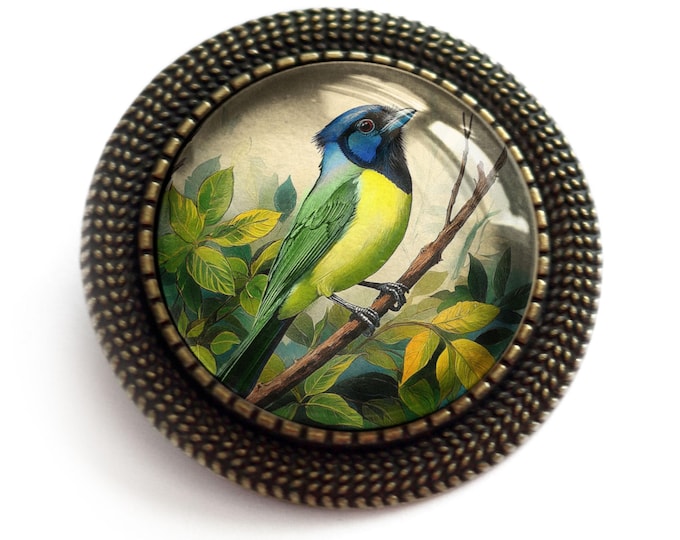 Green Jay Bird Vintage Inspired Glass Cabochon Brooch