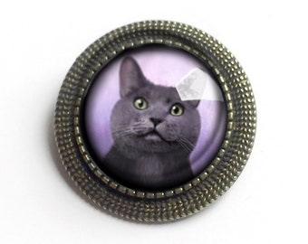 May include: A gray cat with green eyes is featured in a round glass cabochon set in a bronze-colored metal frame. The cat is looking up with a surprised expression. The background is a light purple color.