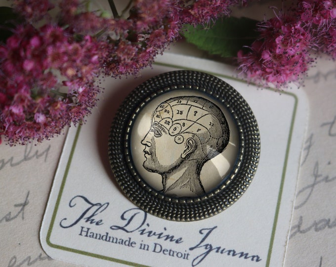 Antique Phrenology Chart Vintage Inspired Pin Brooch