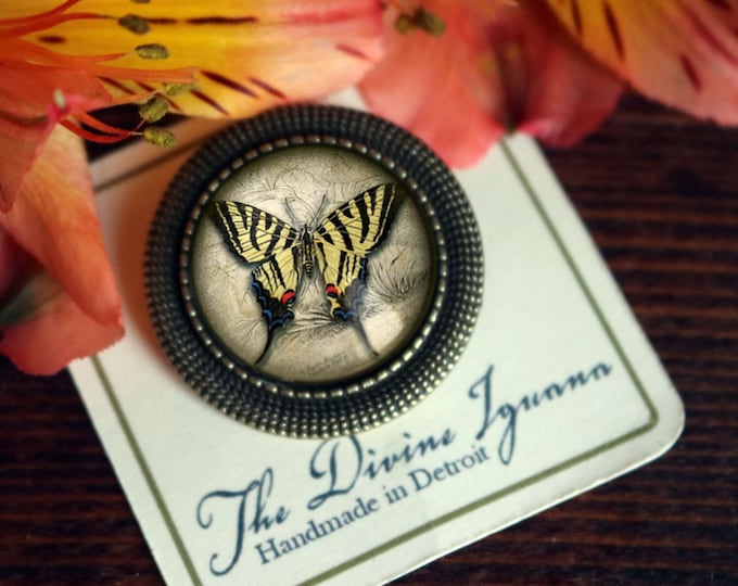 Swallowtail Butterfly Vintage Inspired Pin Brooch