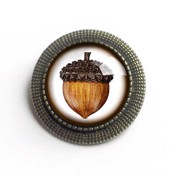 Mighty Acorn Vintage inspirado broche de pasador