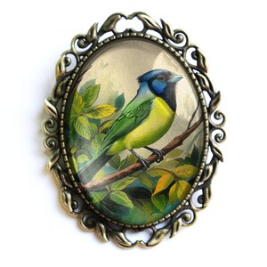 May include: A vintage-style brooch featuring a colorful bird perched on a branch with green leaves. The bird has a blue head, green wings, and a yellow body. The brooch is set in a bronze-colored oval frame with ornate details.