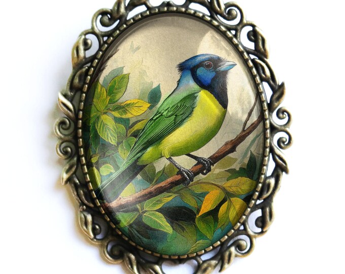 Green Jay Large Oval  Glass Cabochon Bird Brooch