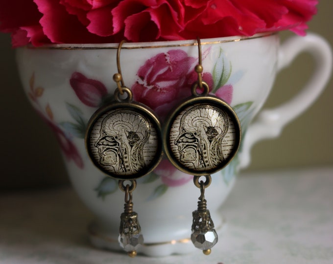 Human Nervous System Vintage Inspired Drop / Dangle Earrings