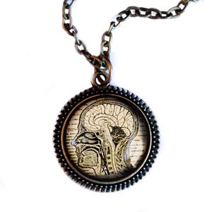 Human Nervous System and Brain Large Pendant Necklace