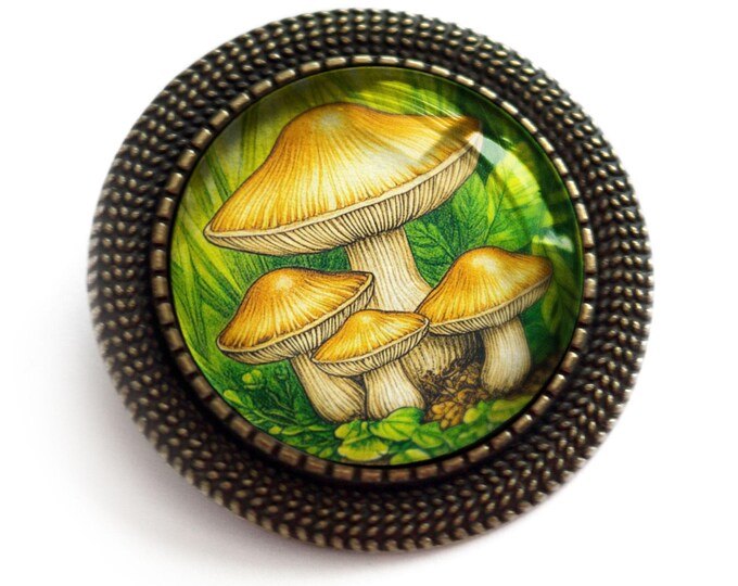 Honey Mushrooms Cottagecore Glass Cabochon Pin Brooch