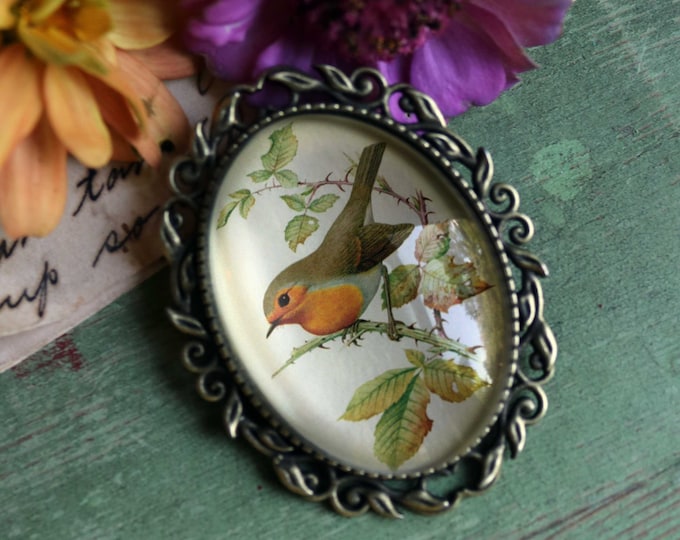 Spring Robin Large Oval Cottage Core Brooch