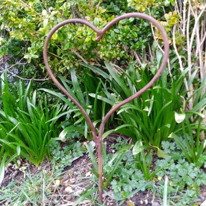 May include: A rusty metal heart-shaped garden stake, standing upright in a bed of green grass and plants.