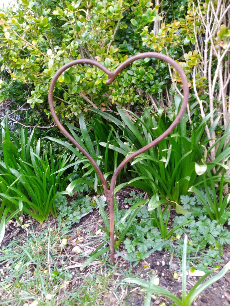 May include: A rusty metal heart-shaped garden stake, standing upright in a bed of green grass and plants.