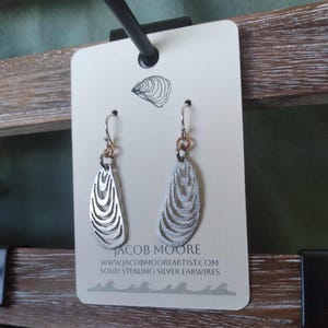Stainless Steel Mussel Shell Earrings