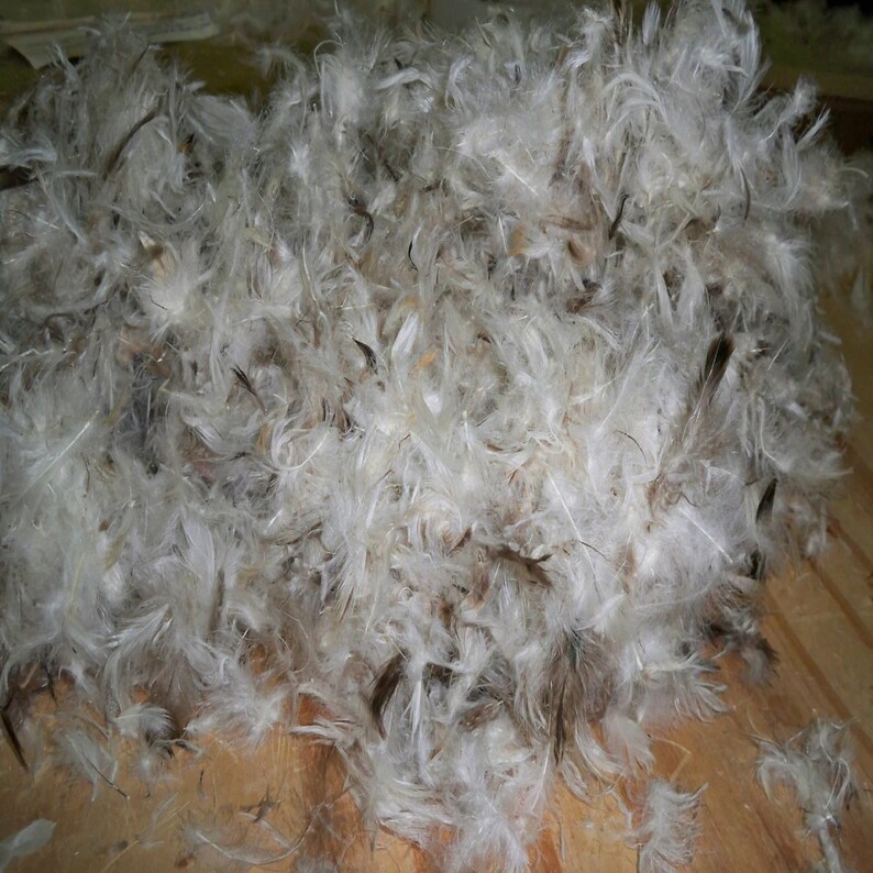 Bulk Goose Down Feathers Stuffing 10/90 White Goose Mix Etsy