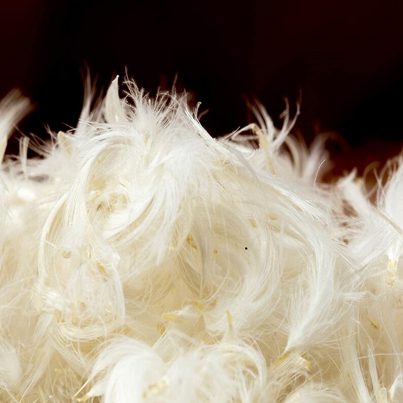 Bulk Goose Down Feathers Stuffing 10/90 White Goose Mix Etsy