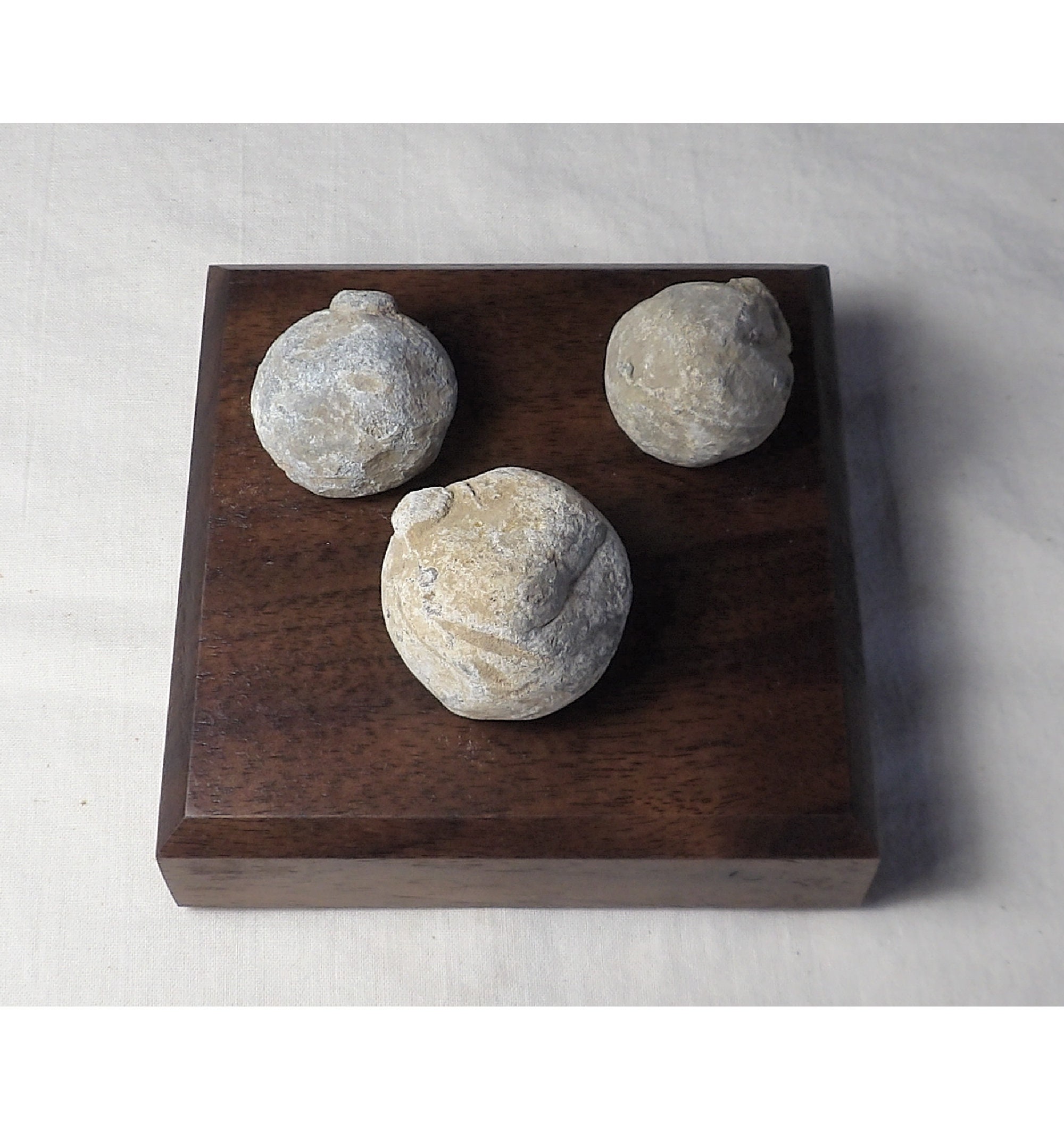 Civil War Naval Canister Balls Fort Fisher Area Etsy