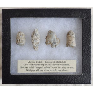 Chewed Civil War Bullets – Bentonville Battlefield - Civil War Relics - Civil War Artifacts - Civil War Memorabilia