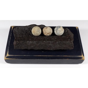 May include: Three weathered, spherical objects rest on a dark, textured stone, set atop a navy blue wooden base with a gold trim. The objects vary in color, with shades of tan and gray. The arrangement suggests a display of historical artifacts or decorative elements.