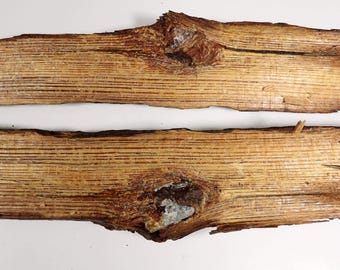 Bullet in Wood – Fort Blakely – Mobile, Alabama Campaign – 6105