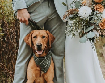 Dog Bandana For Wedding, Wedding Date Pet Bandana, Sage Green Windowpane Dog Bandana, Personalized Green Dog Bandana, Wedding Favor For Pets