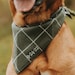 see more listings in the Dog Bandanas section