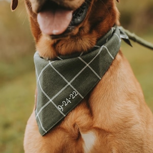 Pet Bandana For Wedding, Wedding Date Pet Bandana, Windowpane Dog Bandana, Personalized Green Dog Bandana, Wedding Favor For Pets, Monogram