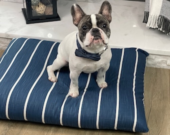 May include: A white and brown French bulldog wearing a blue bow tie sits on a blue and white striped dog bed.