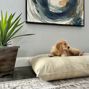 Fringe orthopedic medium 2025 pet bed