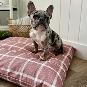 Könnte beinhalten: Ein Französischer Bulldoggen-Welpe sitzt auf einem rosa-weiß karierten Hundebett. Der Hund hat ein gestromtes Fell mit weißen Abzeichen und schaut direkt in die Kamera.