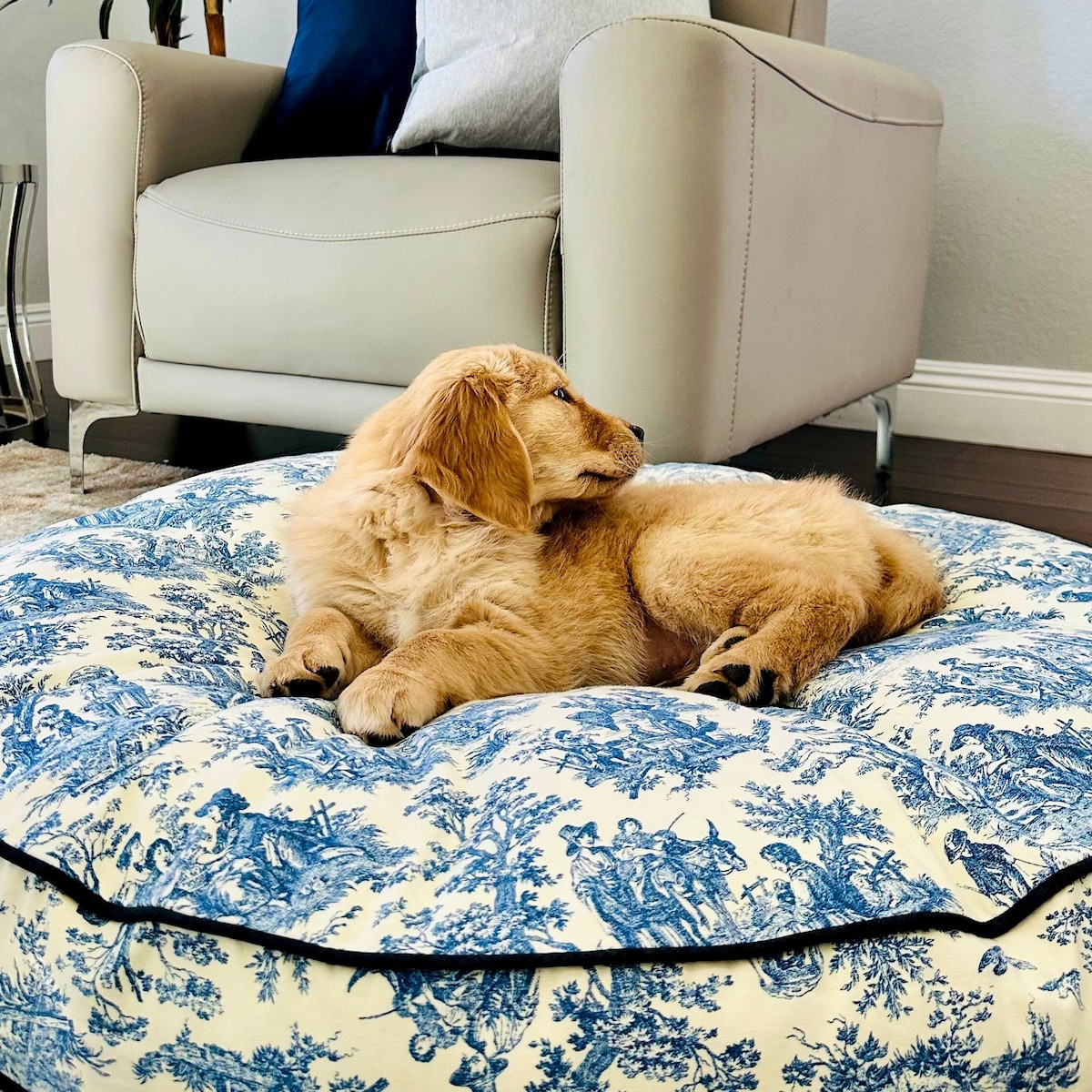 Round Blue Toile Bed Cover, Toile Pattern Dog Bed Duvet, Modern Pet Bed, Sustainable Pet Bedding, Navy Dog Bedding With Name, Large Dog Bed - Etsy