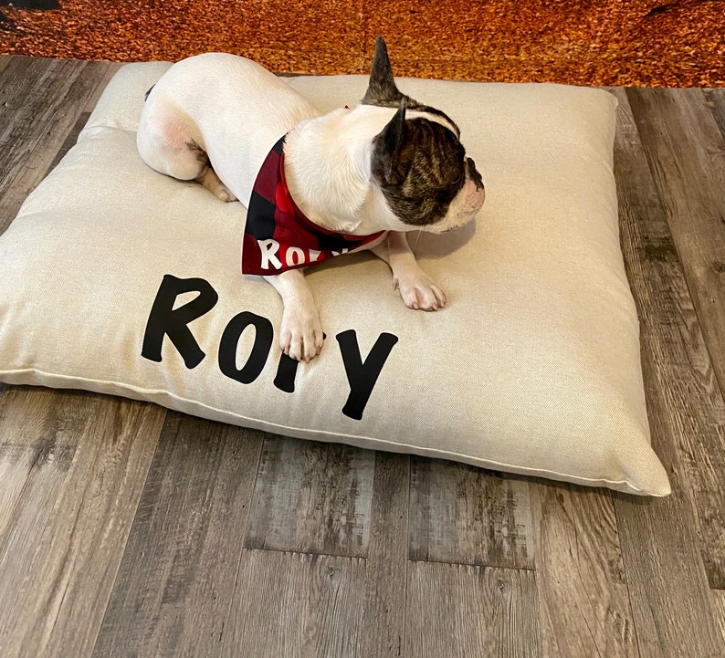 May include: A white and brown French bulldog wearing a red and black bandana lies on a beige dog bed with the name "Roy" embroidered on it.