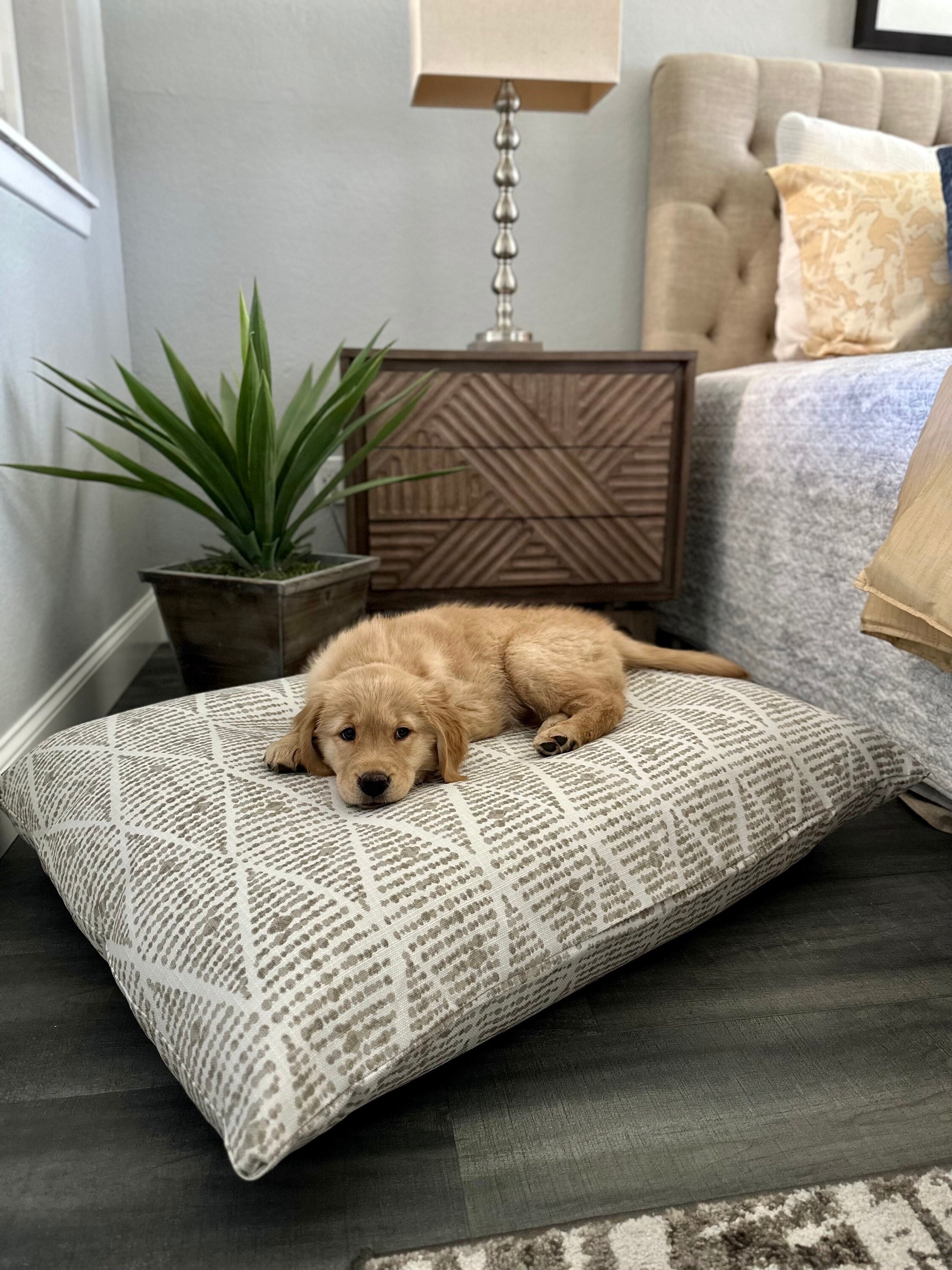 Dog Bed Cover Replacement Etsy Canada