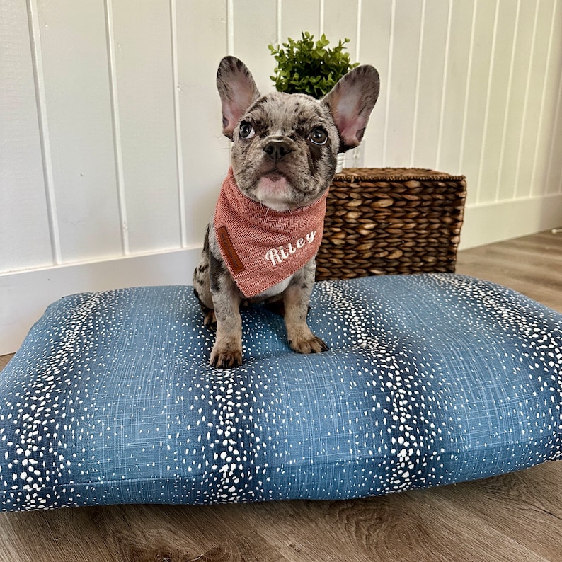 Frenchie Dog on A Blue Polka Dot Stripe Rectangular Pet Bed