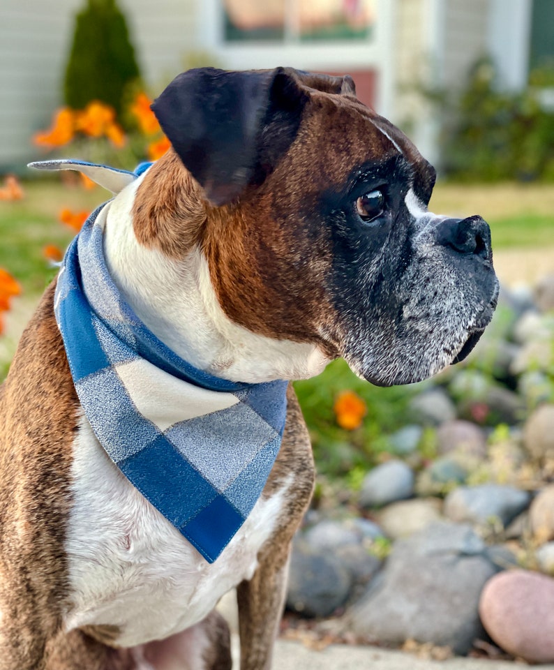 Blue Plaid Dog Bandana Gingham Dog Bandana Blue Dog Etsy