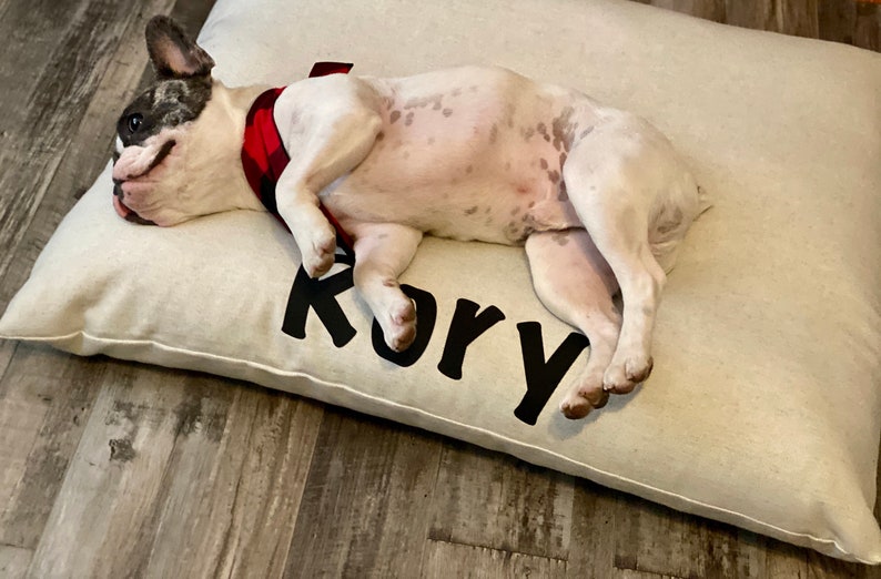 May include: A white French bulldog with a red and black plaid collar is lying on a beige dog bed with the name "Kory" printed in black.